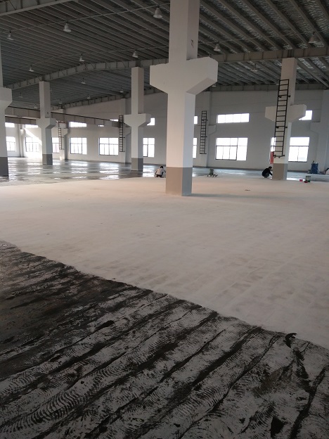 �h���B͸����