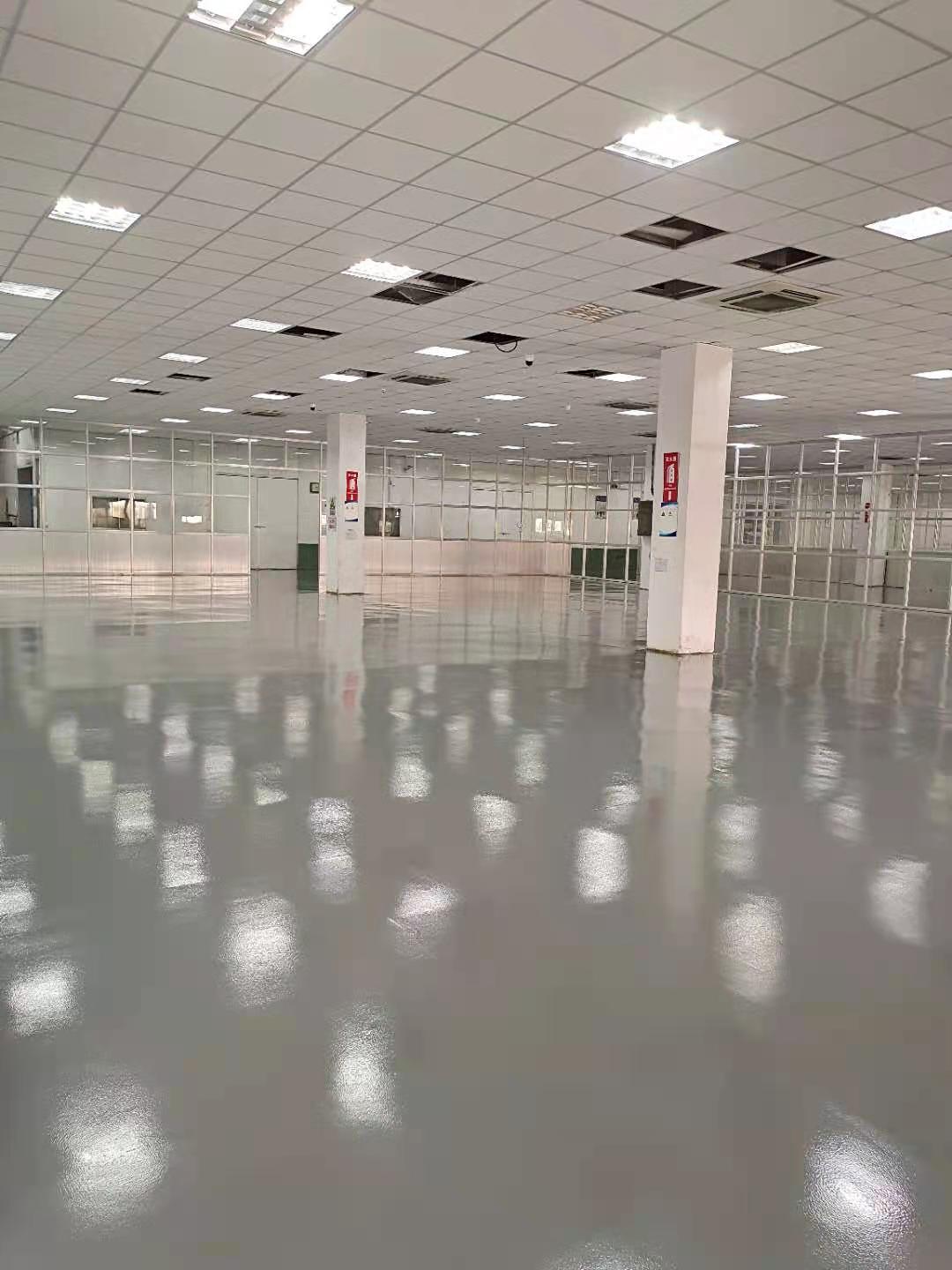 �K�ݸ��^����ĥ�h����ƺ